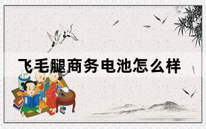 飞毛腿商务电池怎么样_飞毛腿商务电池