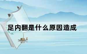 足内翻是什么原因造成的_zune怎么用