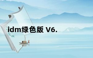 idm绿色版 V6.23 build20 绿色免费版_idm绿色版 V6.23 build20 绿色免费版免费下载