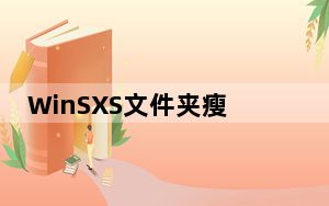 WinSXS文件夹瘦身工具 V8.19 Win10免费版_WinSXS文件夹瘦身工具 V8.19 Win10免费版免费下