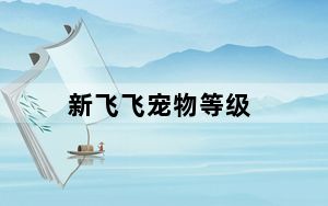 新飞飞宠物等级_《新飞飞》宠物属性