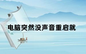 电脑突然没声音重启就好了_电脑突然没声音
