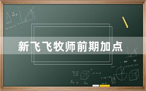 新飞飞牧师前期加点_《新飞飞》新飞飞牧师加点技巧攻略