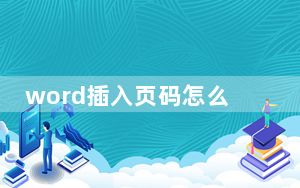 word插入页码怎么都一样_word插入页码