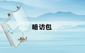 暗访包_暗访包