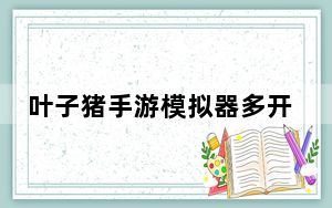 叶子猪手游模拟器多开管理器 V4.0.9 官方版_叶子猪手游模拟器多开管理器 V4.0.9 官方版免费下载