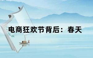 电商狂欢节背后：春天还有多远