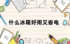 什么冰箱好用又省电_什么冰箱好
