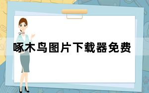 啄木鸟图片下载器免费版 V6.6.0.1 最新版_啄木鸟图片下载器免费版 V6.6.0.1 最新版免费下载