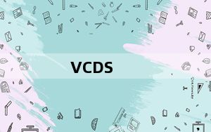 VCDS_大众汽车电脑诊断软件 V17.1.3 官方版_VCDS_大众汽车电脑诊断软件 V17.1.3 官方版免费下载