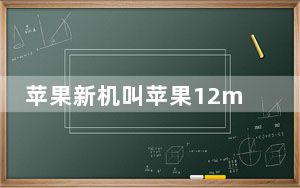 苹果新机叫苹果12mini_苹果手机当面激活就百分百是新机吗