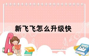 新飞飞怎么升级快_《新飞飞》快捷键