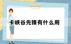 卡峡谷先锋有什么用_卡峡谷先锋作用