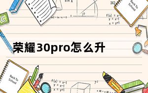 荣耀30pro怎么升级鸿蒙2.0_荣耀30pro怎么升级鸿蒙系统
