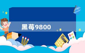 黑莓9800_黑莓9810