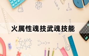 火属性魂技武魂技能_《武魂》武魂职业太极系加点攻略
