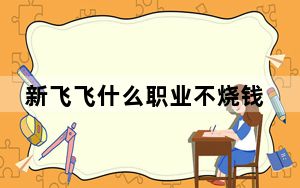新飞飞什么职业不烧钱_《新飞飞》新飞飞什么职业厉害详解心得