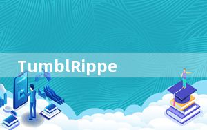 TumblRipper_快速备份工具 V3.0 绿色中文版_TumblRipper_快速备份工具 V3.0 绿色中文版免