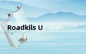 Roadkils Unstoppable Copier_专业数据恢复软件 V5.2 官方版_Roadkils Unsto