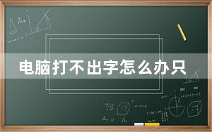 电脑打不出字怎么办只出字母_电脑打不出字怎么办