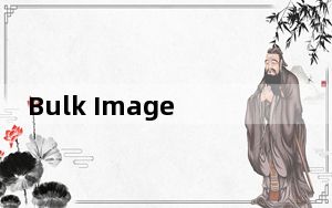 Bulk Image Downloader_批量图片下载器破解版 V5.33.0.0 破解版_Bulk Image Do