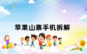 苹果山寨手机拆解_苹果山寨手机