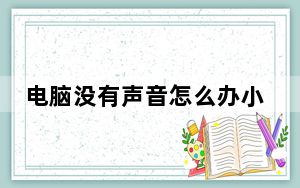 电脑没有声音怎么办小喇叭不见了_电脑没有声音怎么办