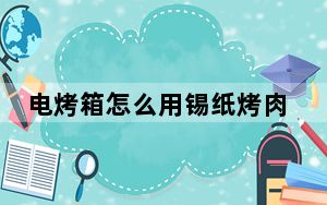 电烤箱怎么用锡纸烤肉_电烤箱怎么用