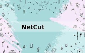 NetCut_网络剪刀手 V2.1.4 最新版_NetCut_网络剪刀手 V2.1.4 最新版免费下载