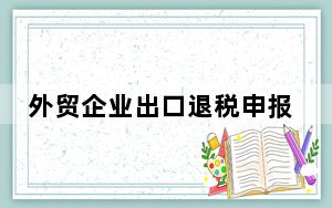 外贸企业出口退税申报系统 V2.0 官方版_外贸企业出口退税申报系统 V2.0 官方版免费下载