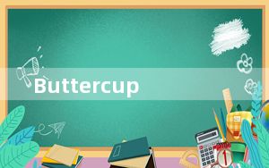 Buttercup_账号密码管理器 V1.11.0 官方版_Buttercup_账号密码管理器 V1.11.0 官方版免