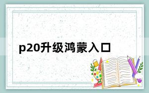 p20升级鸿蒙入口_p20华为