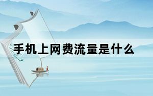 手机上网费流量是什么意思_手机上网费流量