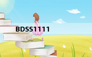BDSS1111_BDSS