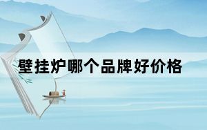 壁挂炉哪个品牌好价格又便宜_壁挂炉哪个品牌好
