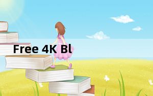 Free 4K Blu-ray Player_免费4K蓝光播放器 V1.3.14 官方版_Free 4K Blu-ray