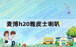 麦博h20雅皮士喇叭几寸_雅皮士h20