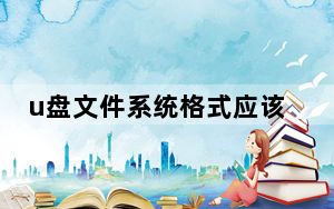u盘文件系统格式应该怎样选择最好_u盘文件系统