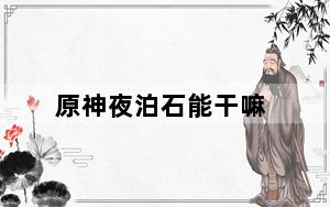 原神夜泊石能干嘛_原神夜泊石作用 快吧手游