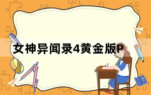 女神异闻录4黄金版PC破解补丁 最新免费版_女神异闻录4黄金版PC破解补丁 最新免费版免费下载