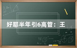 好耶半年引6高管:王汉华加盟传递冲刺IPO信号