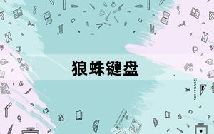 狼蛛键盘_狼蛛键盘