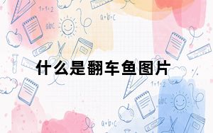 什么是翻车鱼图片_什么是翻新机