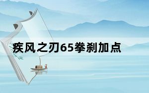 疾风之刃65拳刹加点_疾风之刃65版本拳刹刷图加点