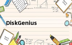 DiskGenius破解补丁 免费版_DiskGenius破解补丁 免费版免费下载