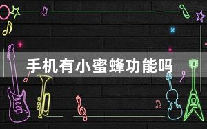 手机有小蜜蜂功能吗_小蜜蜂手机怎么样_小蜜蜂怎么用手机