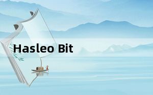 Hasleo Bitlocker Anywhere_磁盘加密工具 V5.0 破解免费版_Hasleo Bitlocker