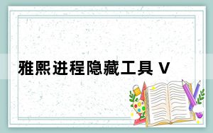 雅熙进程隐藏工具 V1.0 绿色免费版_雅熙进程隐藏工具 V1.0 绿色免费版免费下载