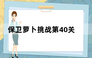 保卫萝卜挑战第40关详细布阵攻略_保卫萝卜挑战40攻略金萝卜布阵图