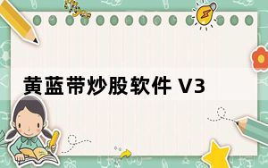 黄蓝带炒股软件 V3.0.5.8 免费版_黄蓝带炒股软件 V3.0.5.8 免费版免费下载